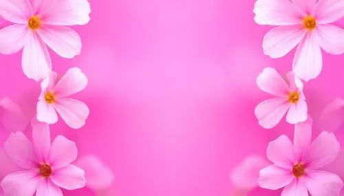 সোহেলী আফরোজ